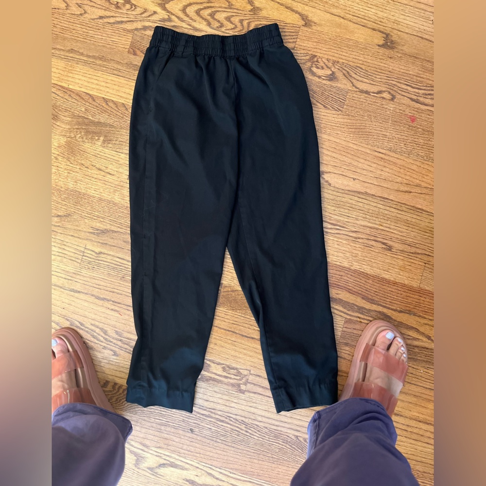 Everlane pull on black pants